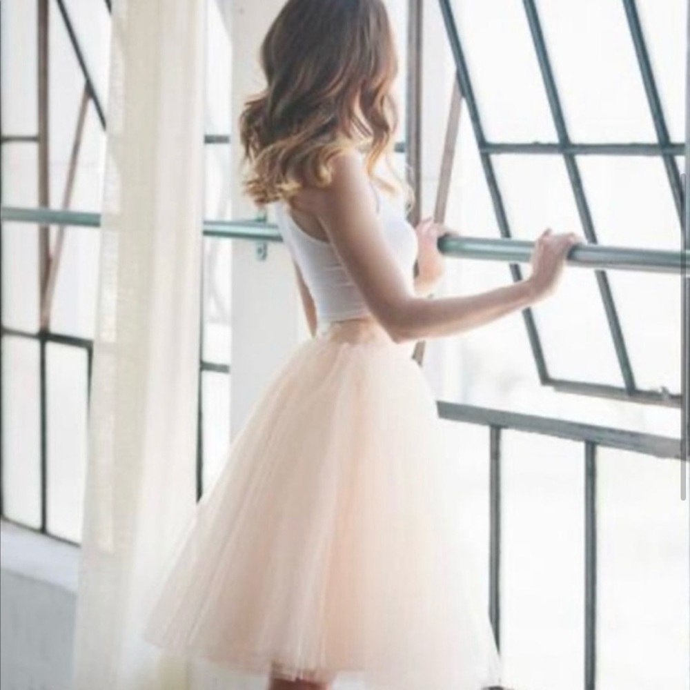 NWT Space 46 Wendy Boutique skirt Blush pink small
